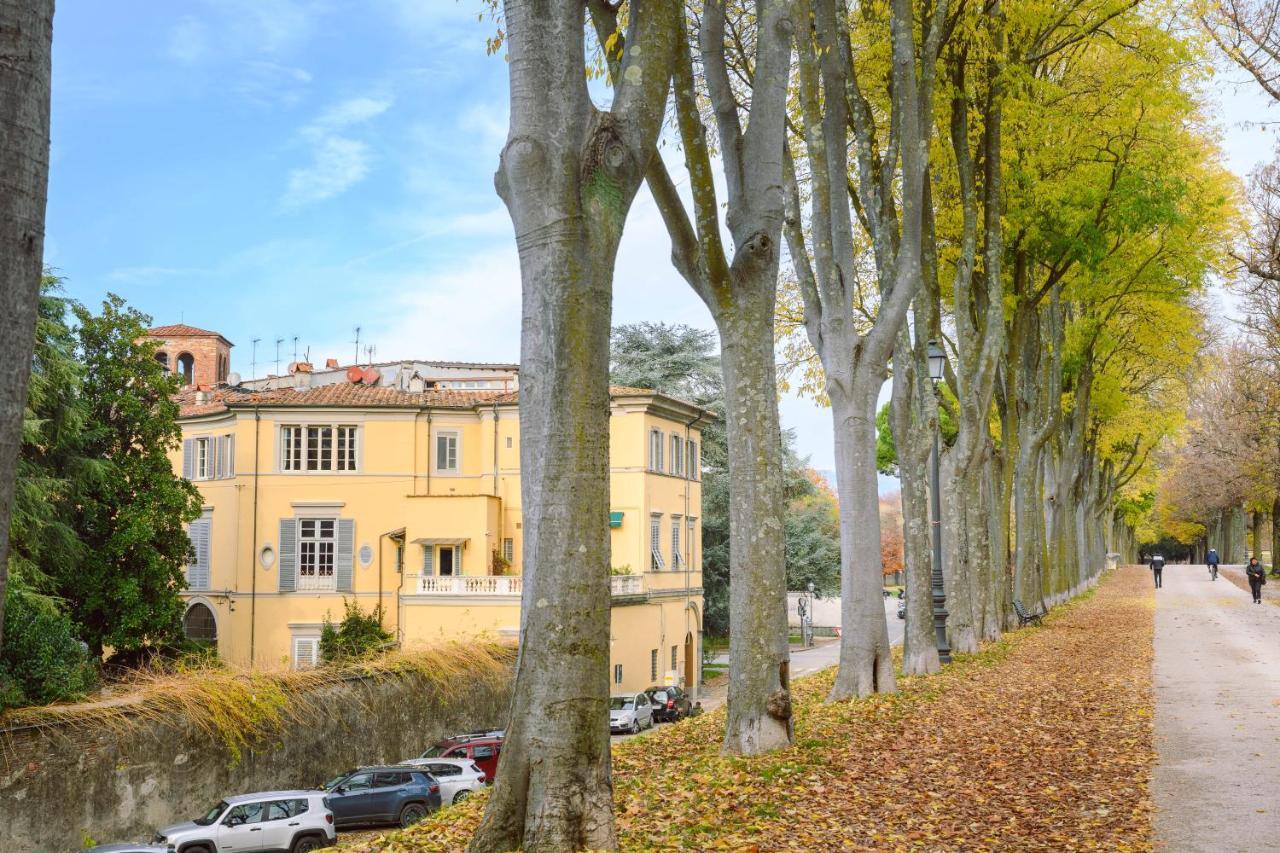 Palazzo Froussard B&B And Living Lucques Extérieur photo